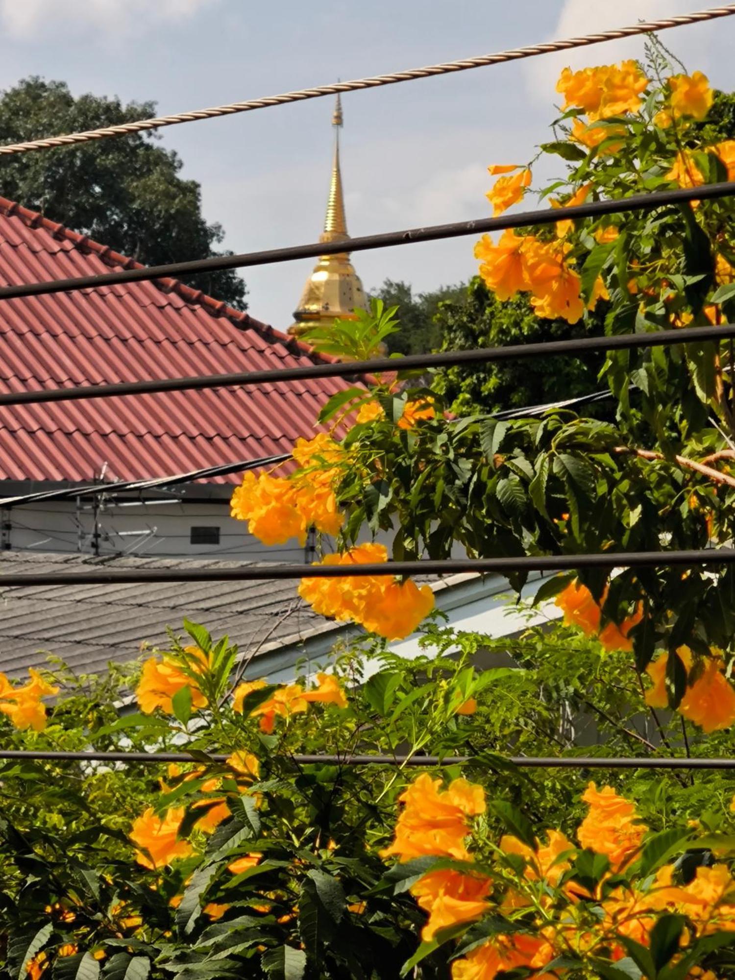 Ratchiangsaen Flora House Hotel Чиангмай Екстериор снимка